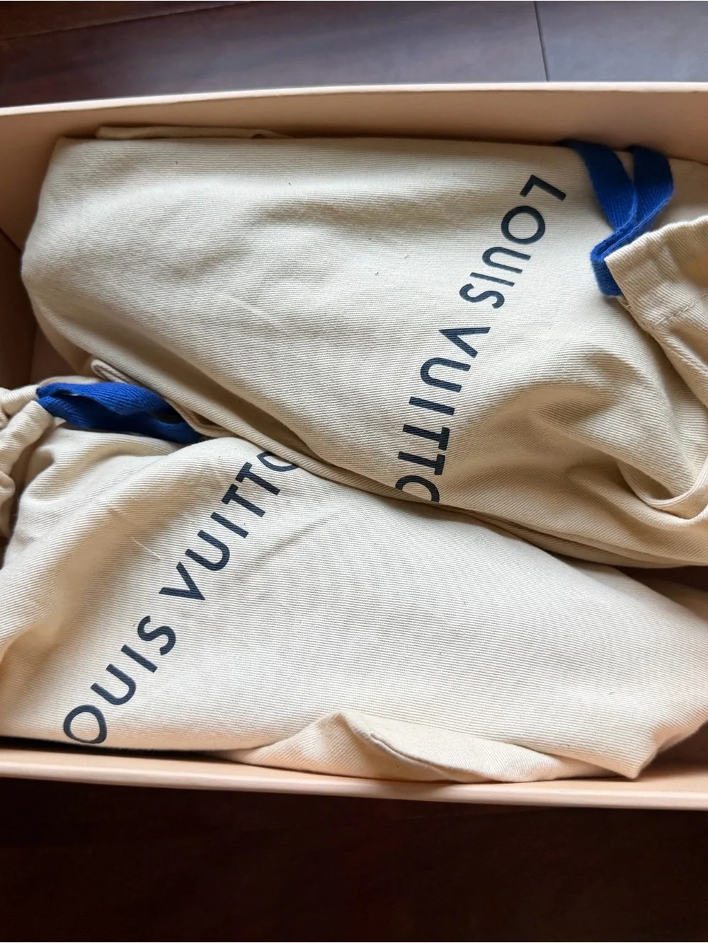 Louis Vuitton stylish louis